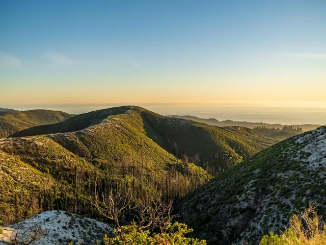 a view of a dry yard with wooden fence