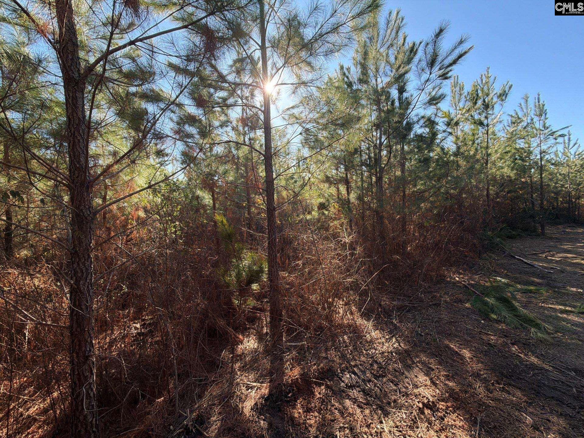 8 Brunson Teal Road, Unit BFF II 8 Patrick, SC 29584 - Photo 19 of 25