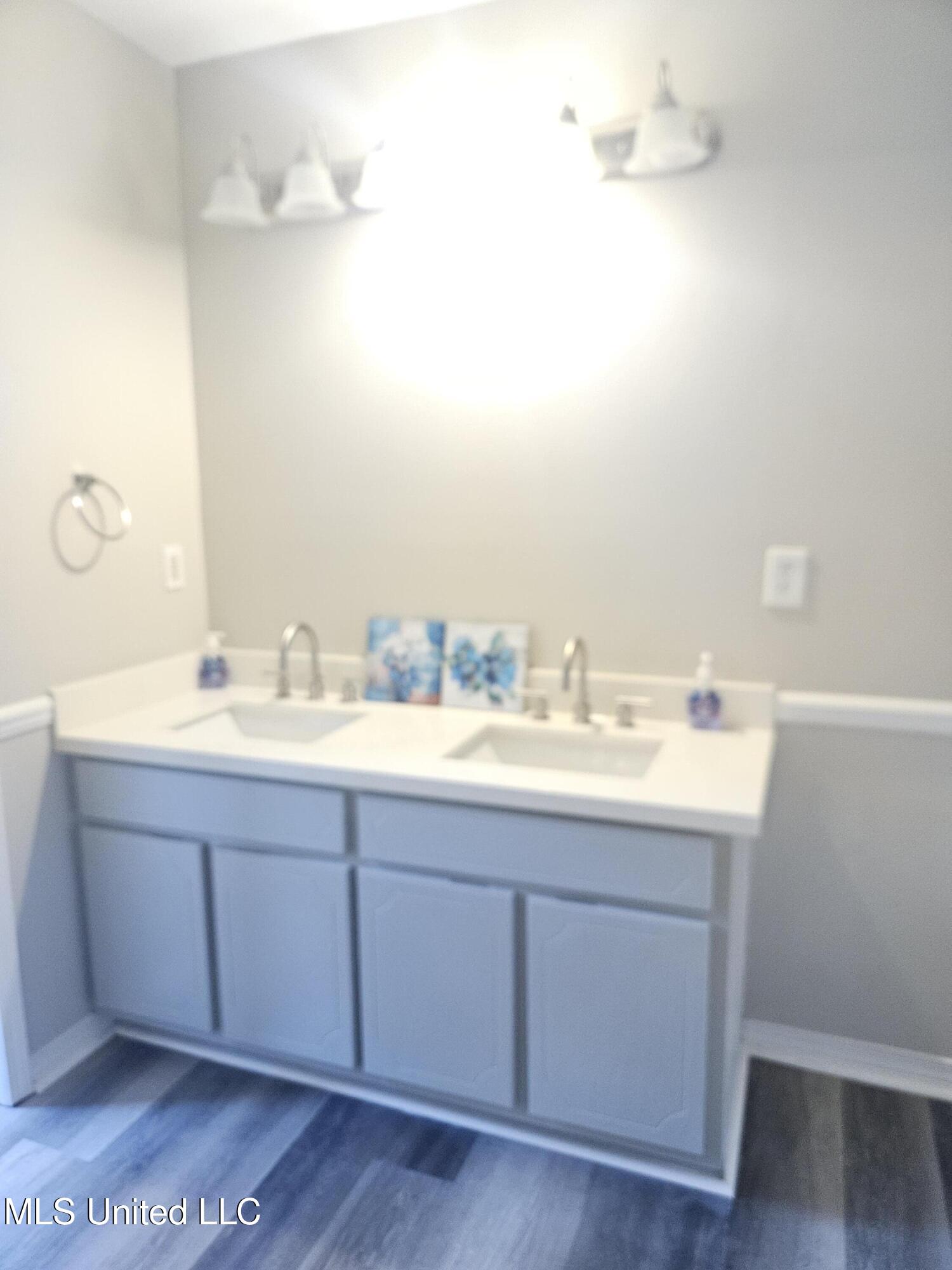 10373 Woolmarket Lake Road Biloxi, MS 39532 - Photo 23 of 32 Primary bathroom double vanity v1