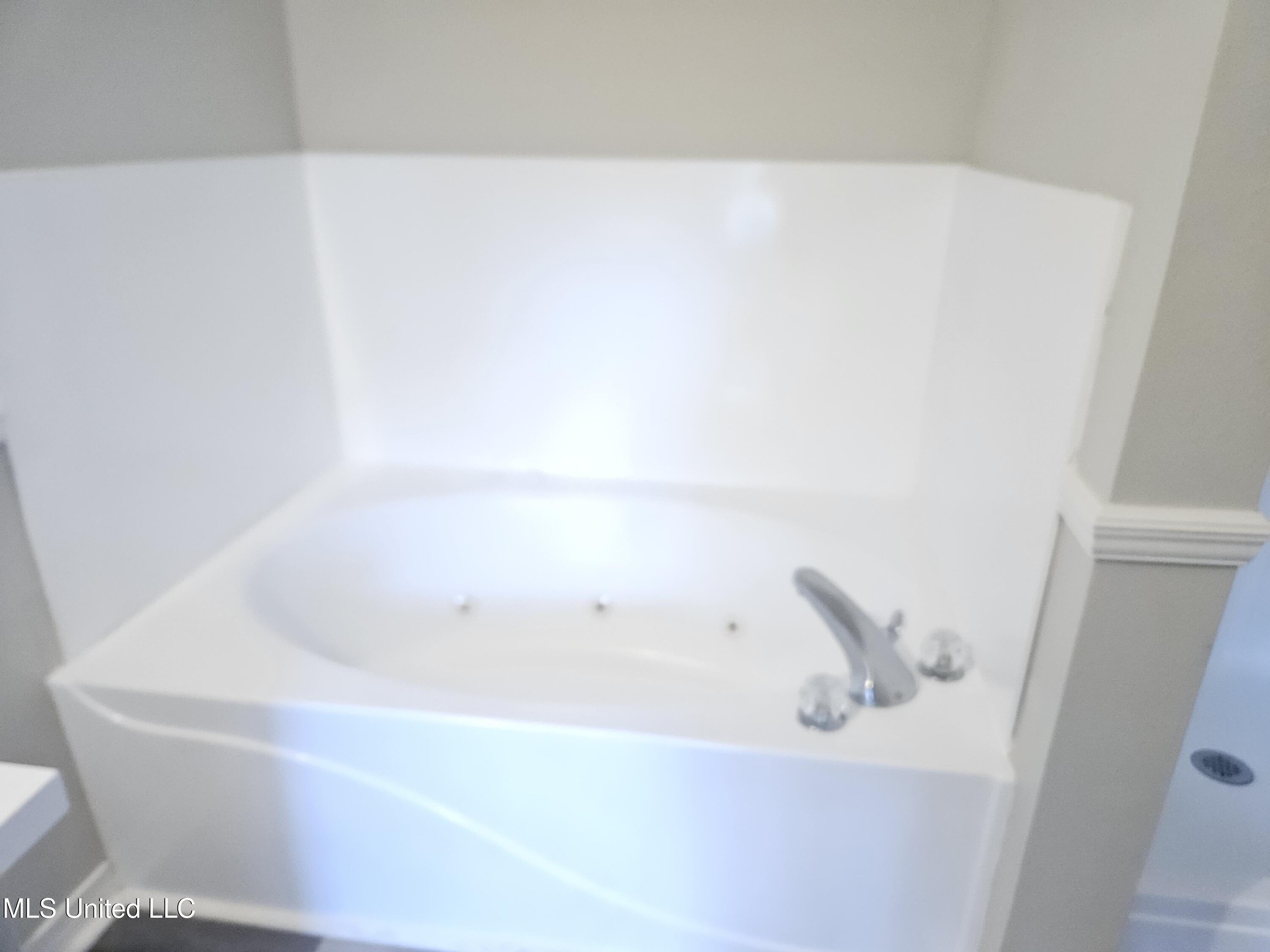 10373 Woolmarket Lake Road Biloxi, MS 39532 - Photo 24 of 32 Primary bathroom jetted tub v1