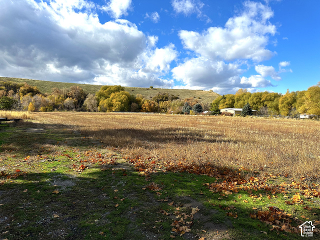 5035 South Hollow Road Logan, UT 84321 - Photo 19 of 19 Expansive rural acreage featuring open pastureland with mature trees lining the perimeter, rolling hillside backdrop, and a modest outbuilding visible across the property