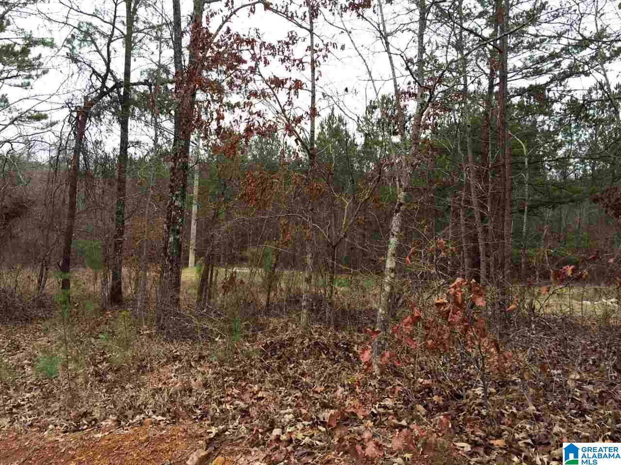 2469 Cherokee Road, Unit 40 ACRES Pell City, AL 35128 - Photo 5 of 9