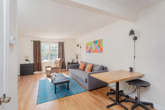a living room with furniture and a rug