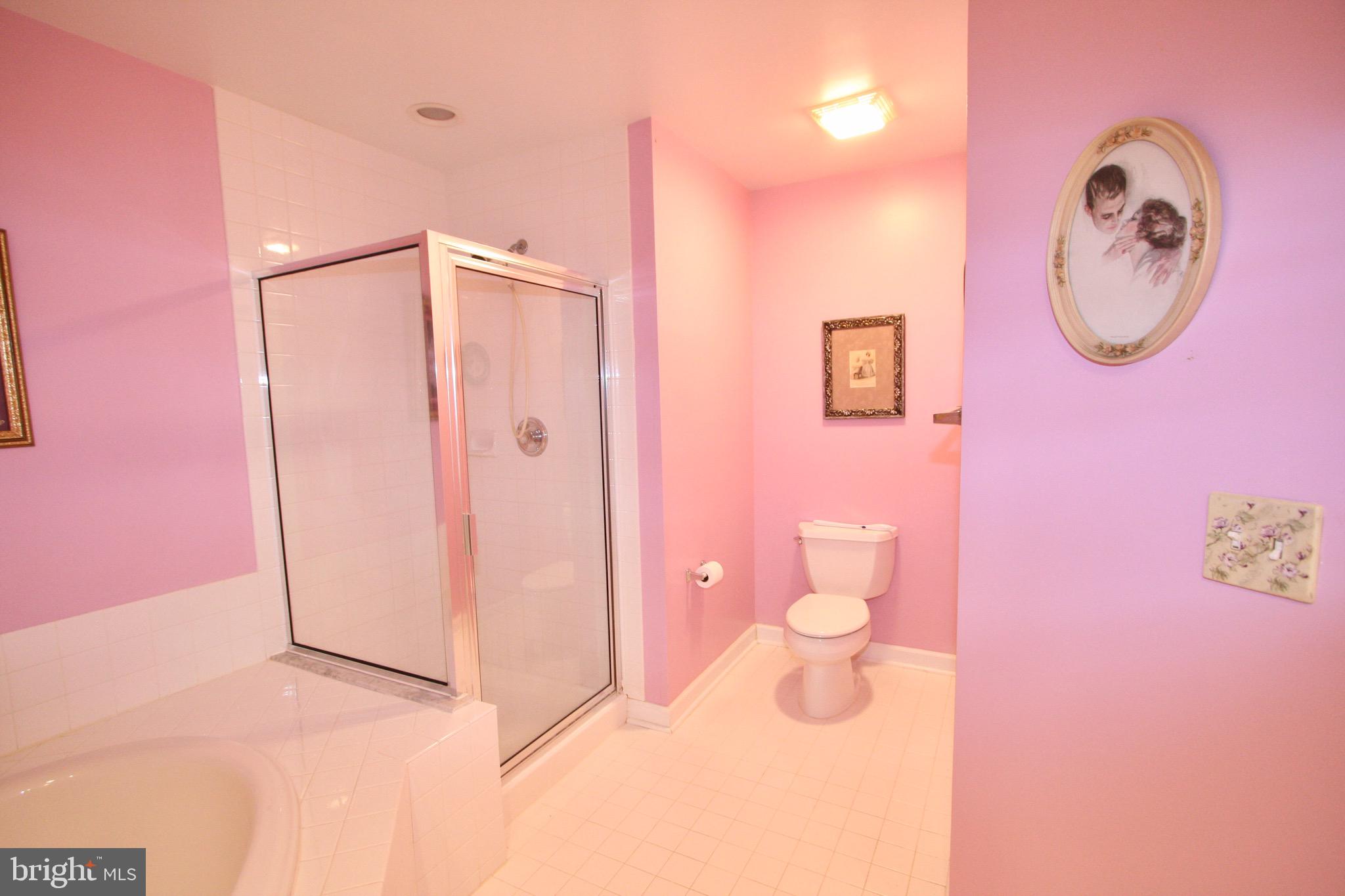 44 Barrington Road Bel Air, MD 21014 - Photo 26 of 42 Master Bath