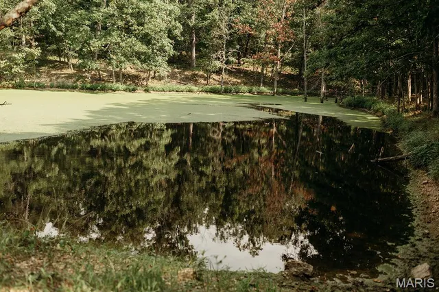 $3,398,350 | 8500 Highway B Bunker Mo 63629, Bunker, MO 63629