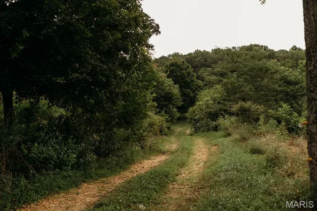 $3,398,350 | 8500 Highway B Bunker Mo 63629, Bunker, MO 63629