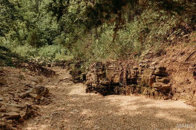 $3,398,350 | 8500 Highway B Bunker Mo 63629, Bunker, MO 63629