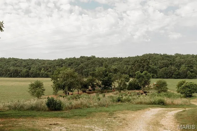 $3,398,350 | 8500 Highway B Bunker Mo 63629, Bunker, MO 63629