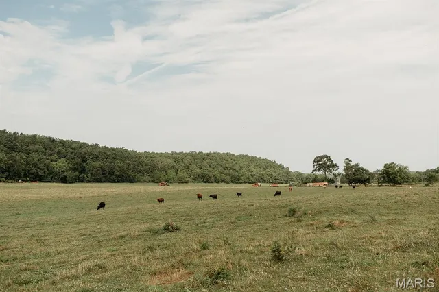 $3,398,350 | 8500 Highway B Bunker Mo 63629, Bunker, MO 63629