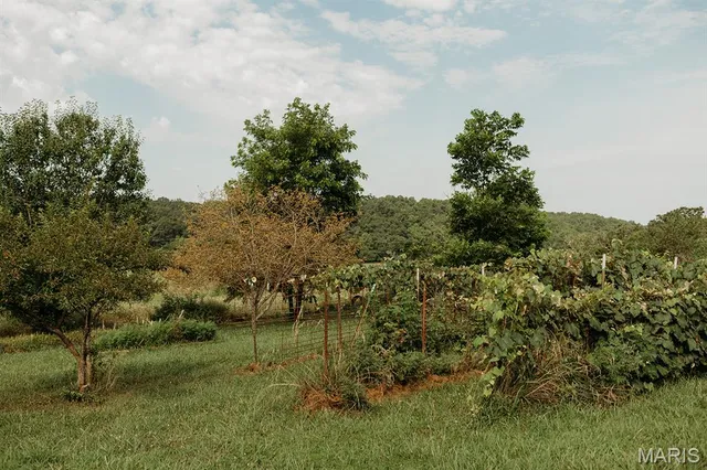 $3,398,350 | 8500 Highway B Bunker Mo 63629, Bunker, MO 63629