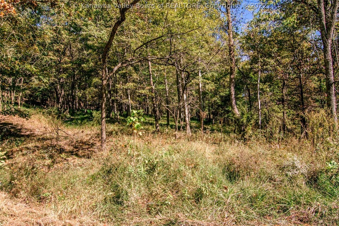 0 Foster Ridge Road Evans, WV 25241 - Photo 4 of 12 Gallery Image 4