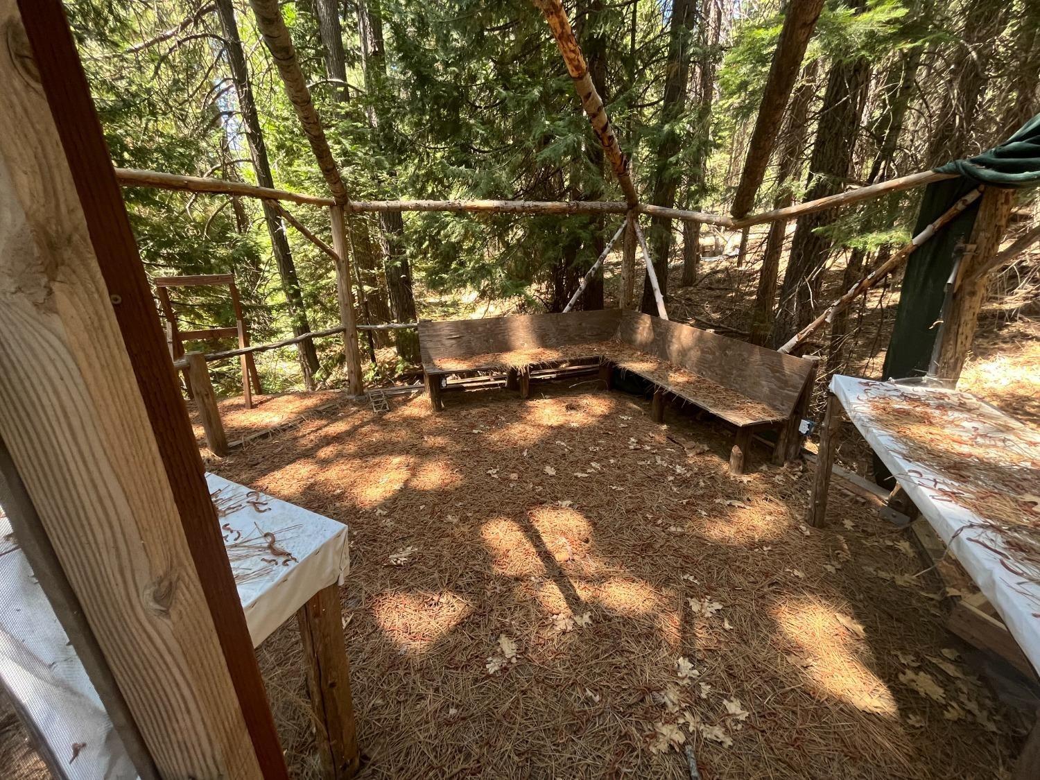 25442 Back Bone Road Nevada City, CA 95959 - Photo 20 of 43