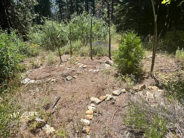 $139,000 | 25442 Back Bone Road, Nevada City, CA 95959