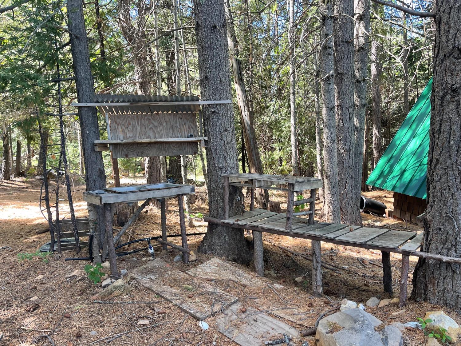 25442 Back Bone Road Nevada City, CA 95959 - Photo 30 of 43