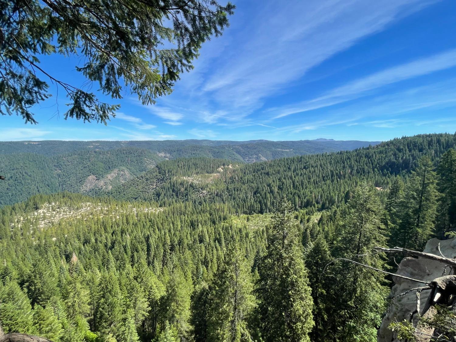 25442 Back Bone Road Nevada City, CA 95959 - Photo 35 of 43