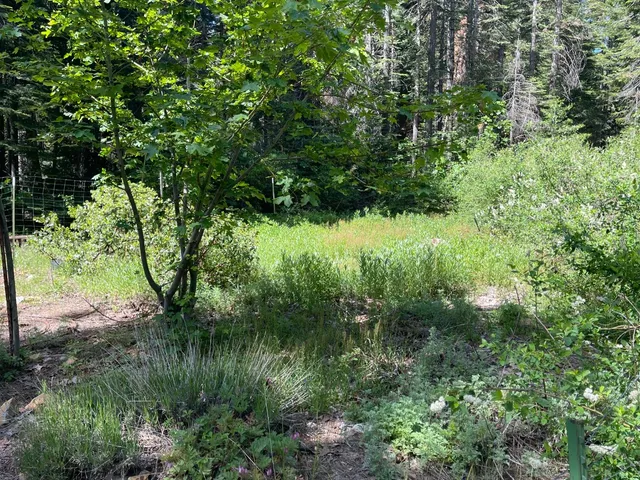 $139,000 | 25442 Back Bone Road, Nevada City, CA 95959