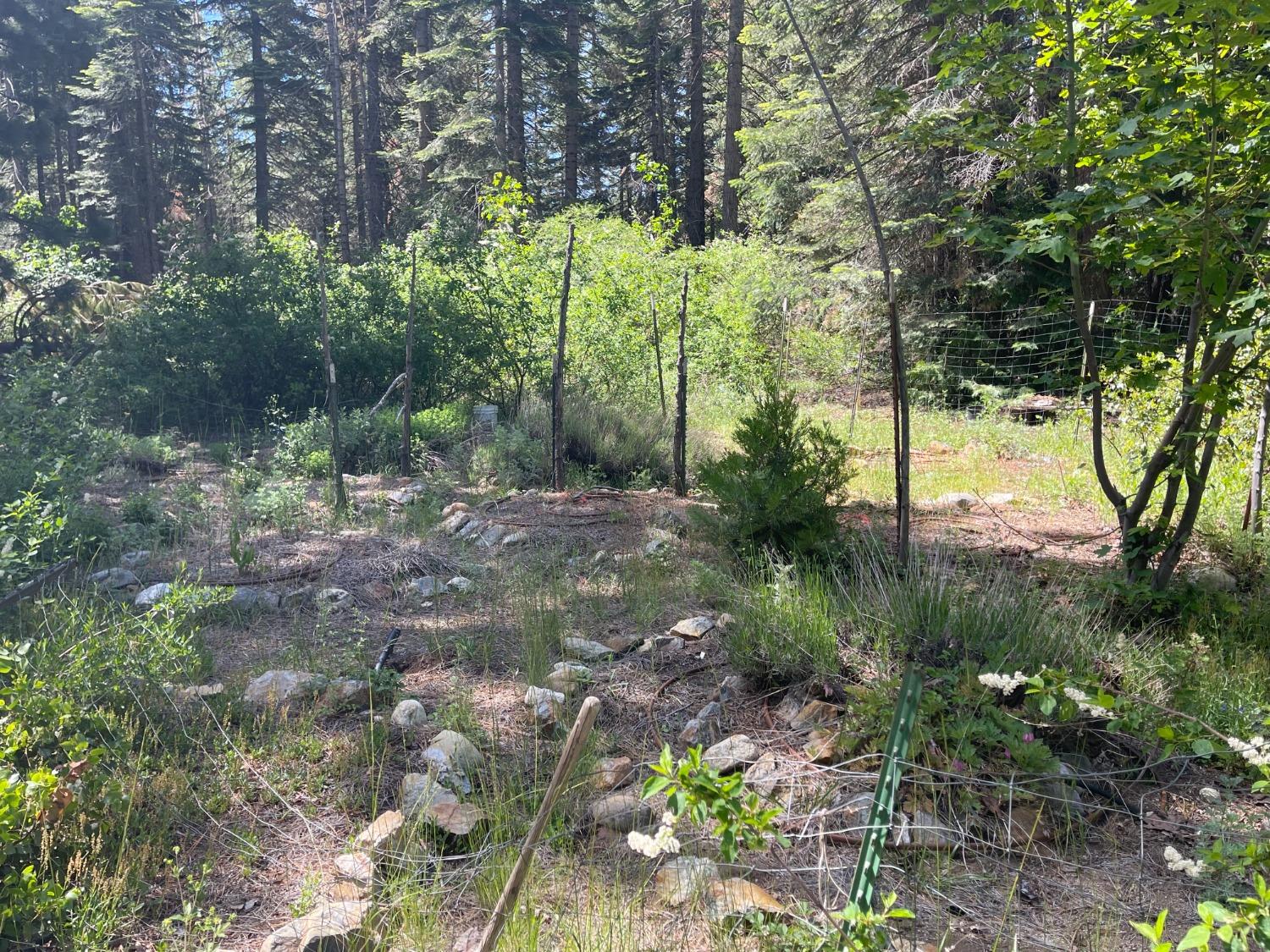 25442 Back Bone Road Nevada City, CA 95959 - Photo 39 of 43