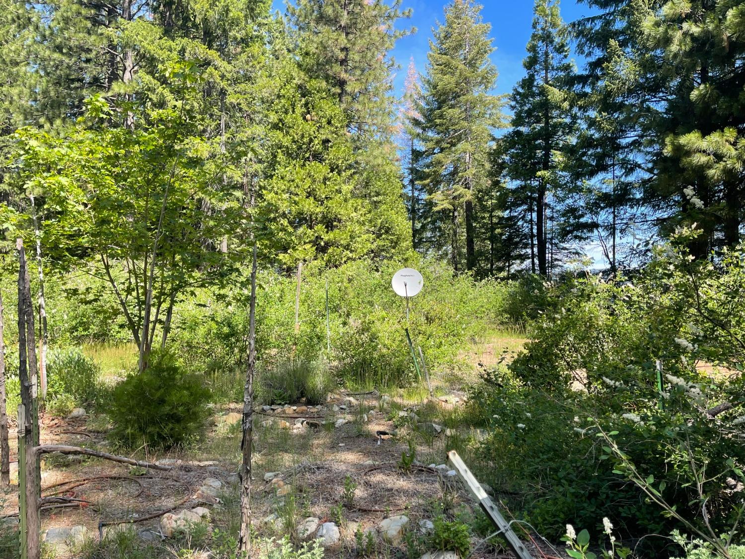 25442 Back Bone Road Nevada City, CA 95959 - Photo 40 of 43