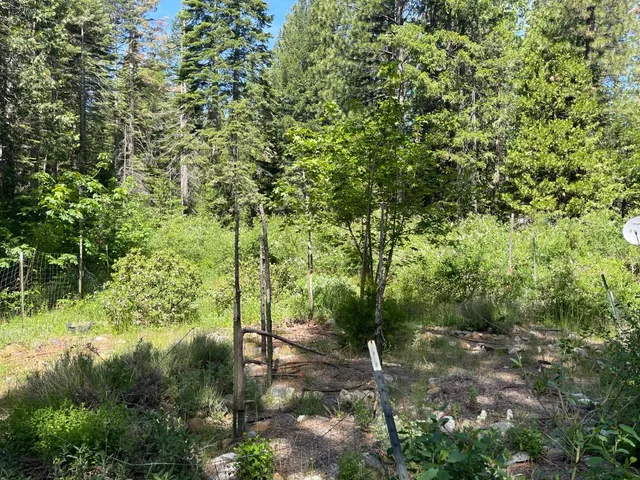 $139,000 | 25442 Back Bone Road, Nevada City, CA 95959