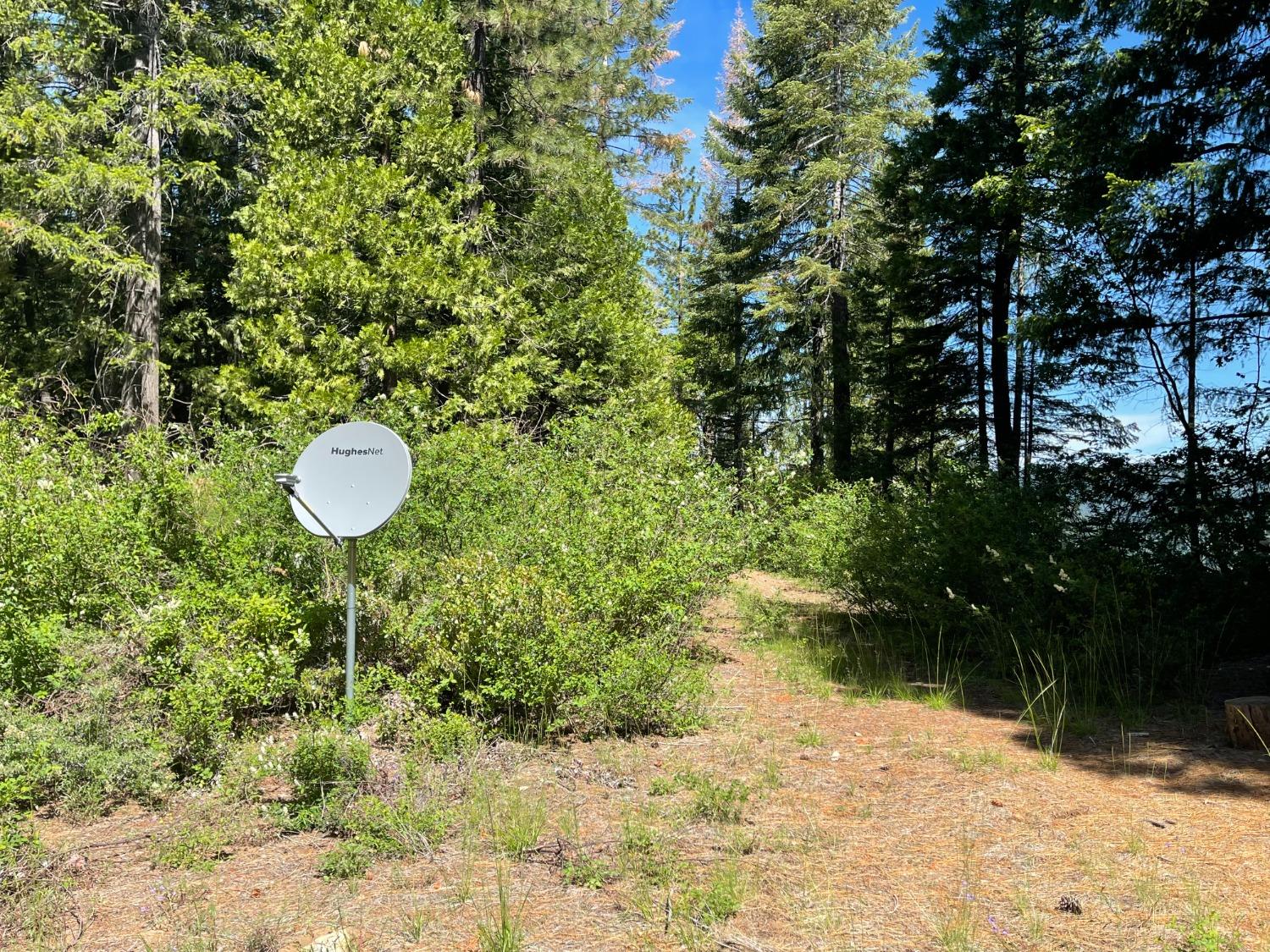 25442 Back Bone Road Nevada City, CA 95959 - Photo 5 of 43