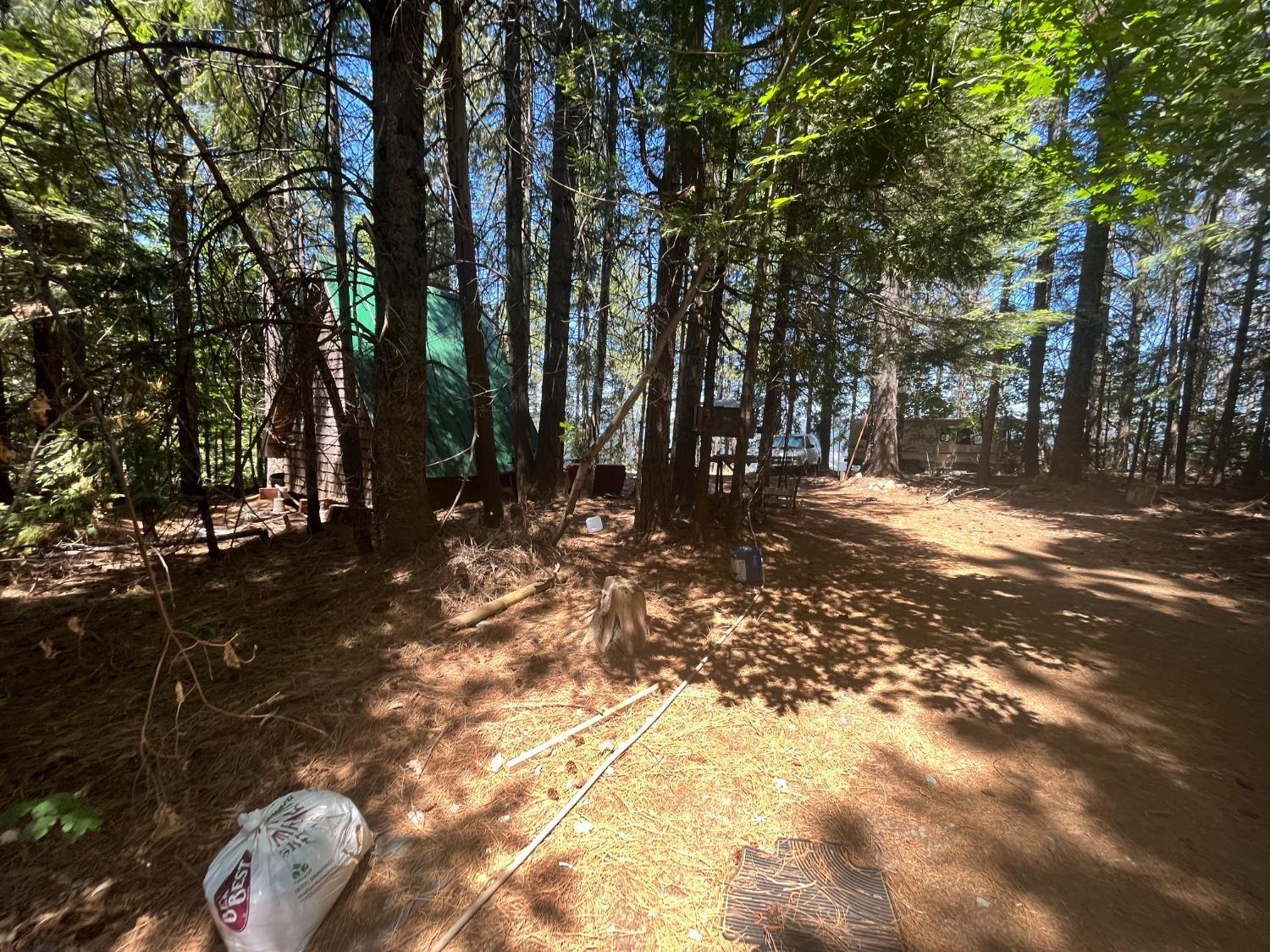 25442 Back Bone Road Nevada City, CA 95959 - Photo 6 of 43