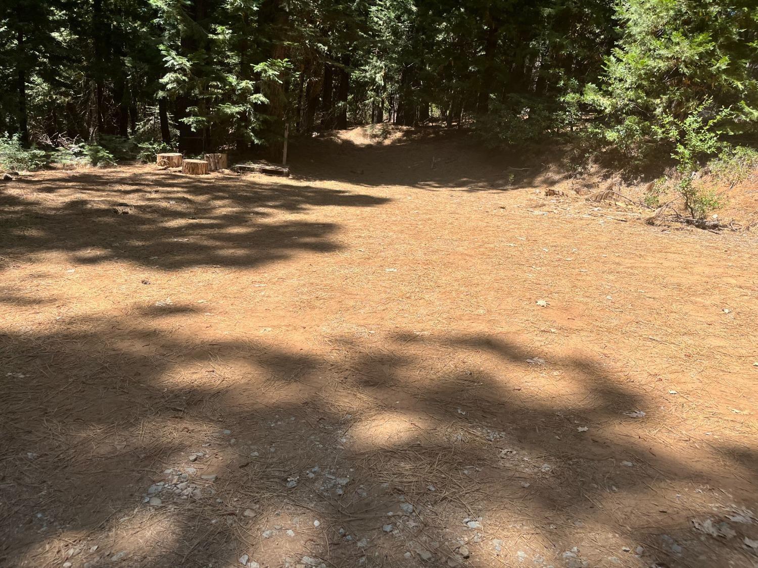 25442 Back Bone Road Nevada City, CA 95959 - Photo 8 of 43