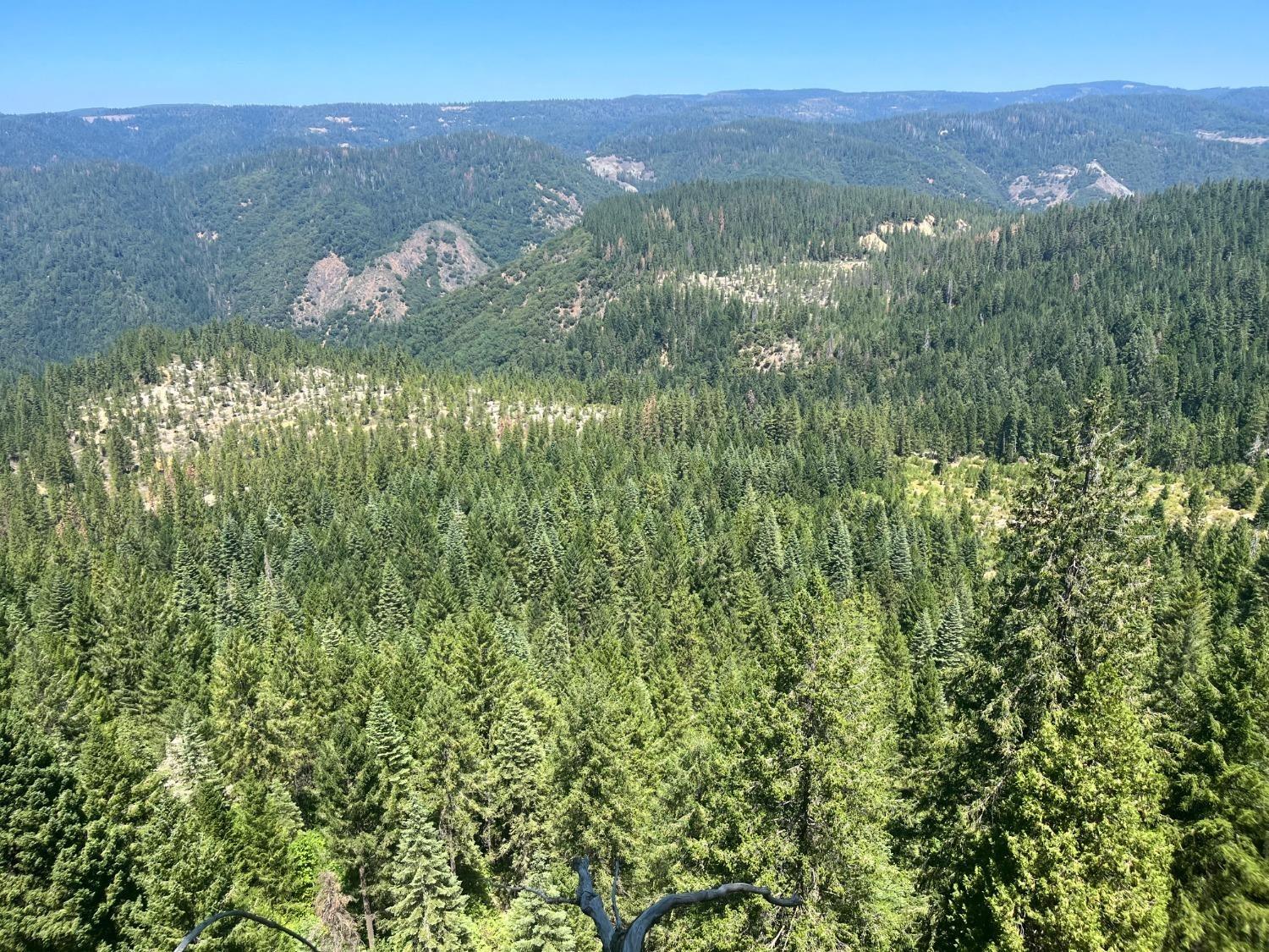 25442 Back Bone Road Nevada City, CA 95959 - Photo 9 of 43