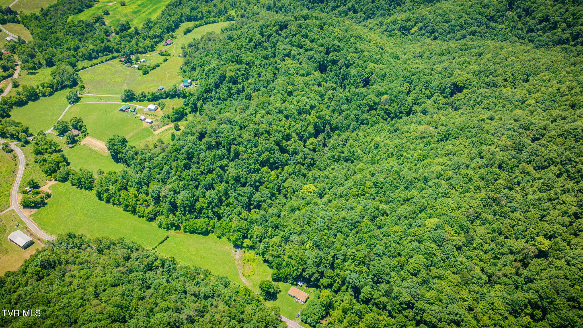 Tbd Hickory Cove Road Rogersville, TN 37857 - Photo 8 of 17 108