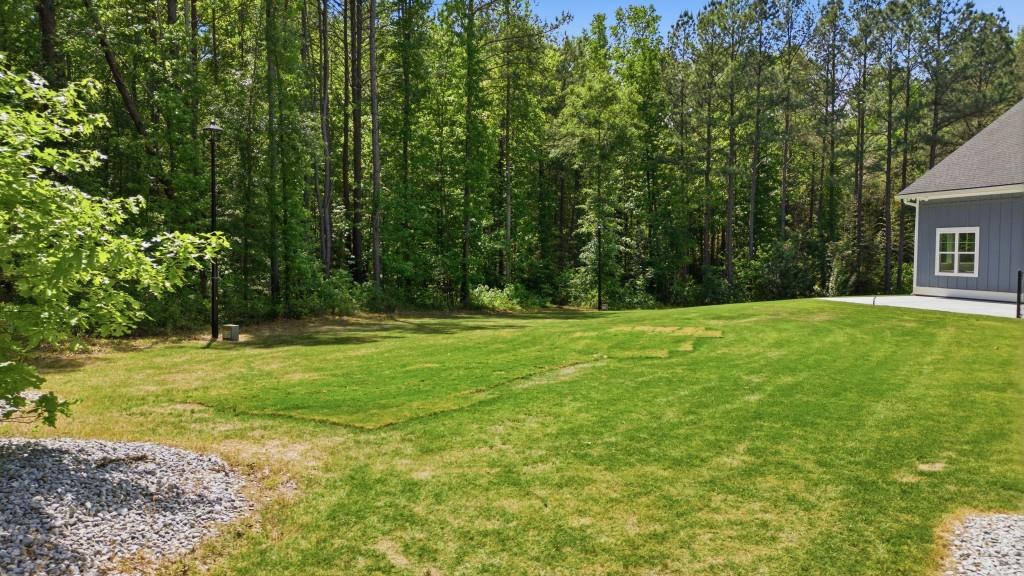 1416 Mt Bethel Road McDonough, GA 30252 - Photo 54 of 67 a view of backyard with green space