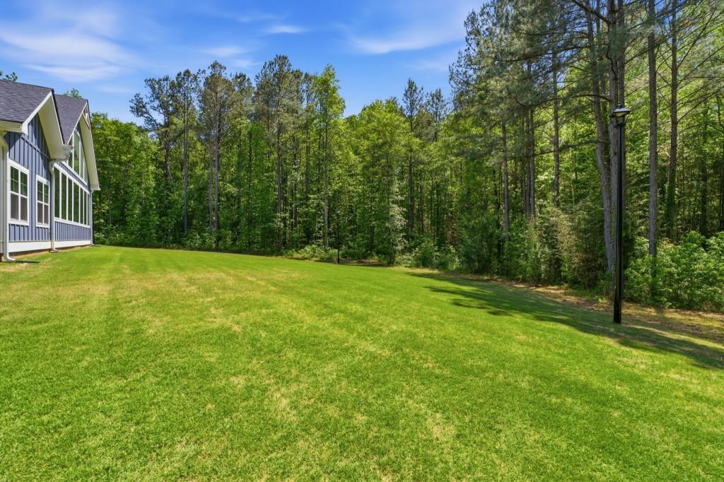 1416 Mt Bethel Road McDonough, GA 30252 - Photo 58 of 67 a view of a yard with a tree