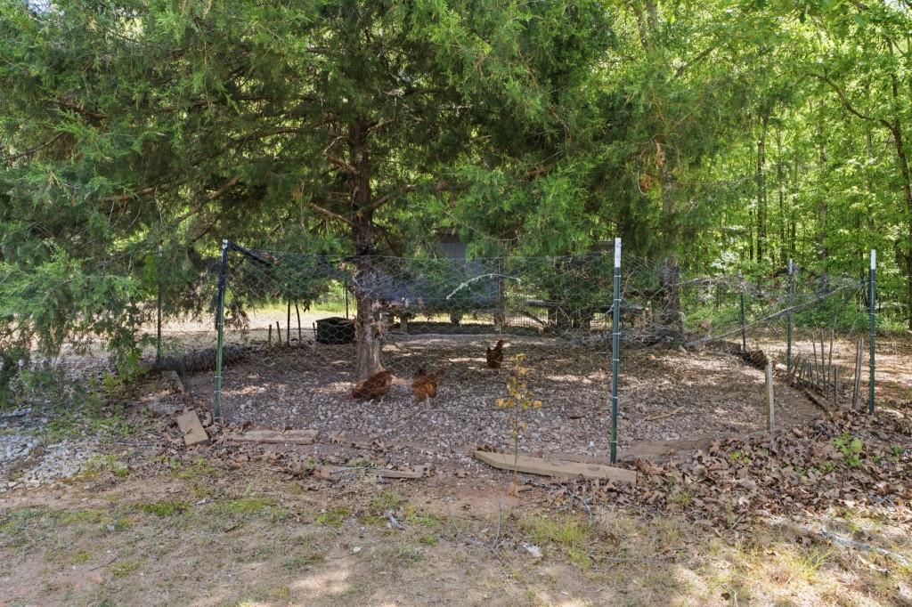 1416 Mt Bethel Road McDonough, GA 30252 - Photo 59 of 67 a view of a tree in the middle of a yard