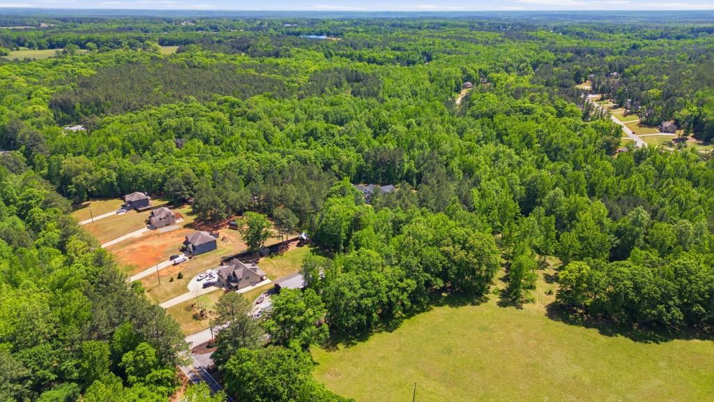 1416 Mt Bethel Road McDonough, GA 30252 - Photo 64 of 67 an aerial view of a residential houses with outdoor space and trees all around