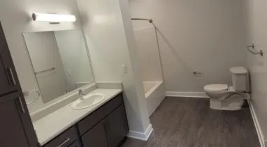 a bathroom with a sink a toilet and a mirror