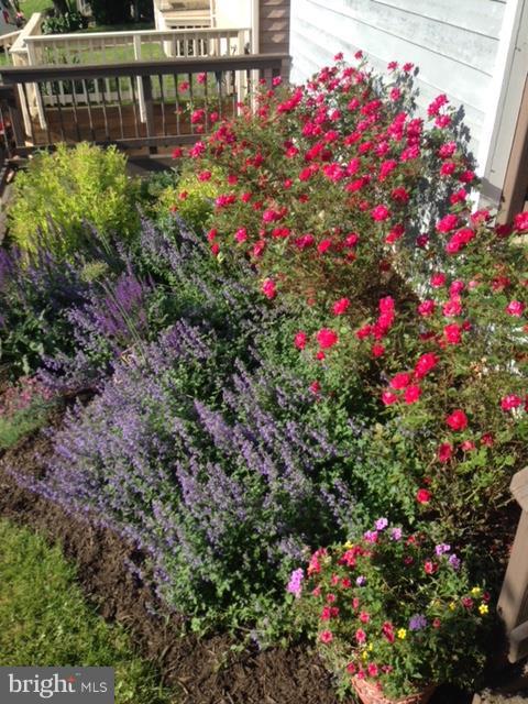 6589 Hemlock Point Road New Market, MD 21774 - Photo 30 of 30 Exterior (General)