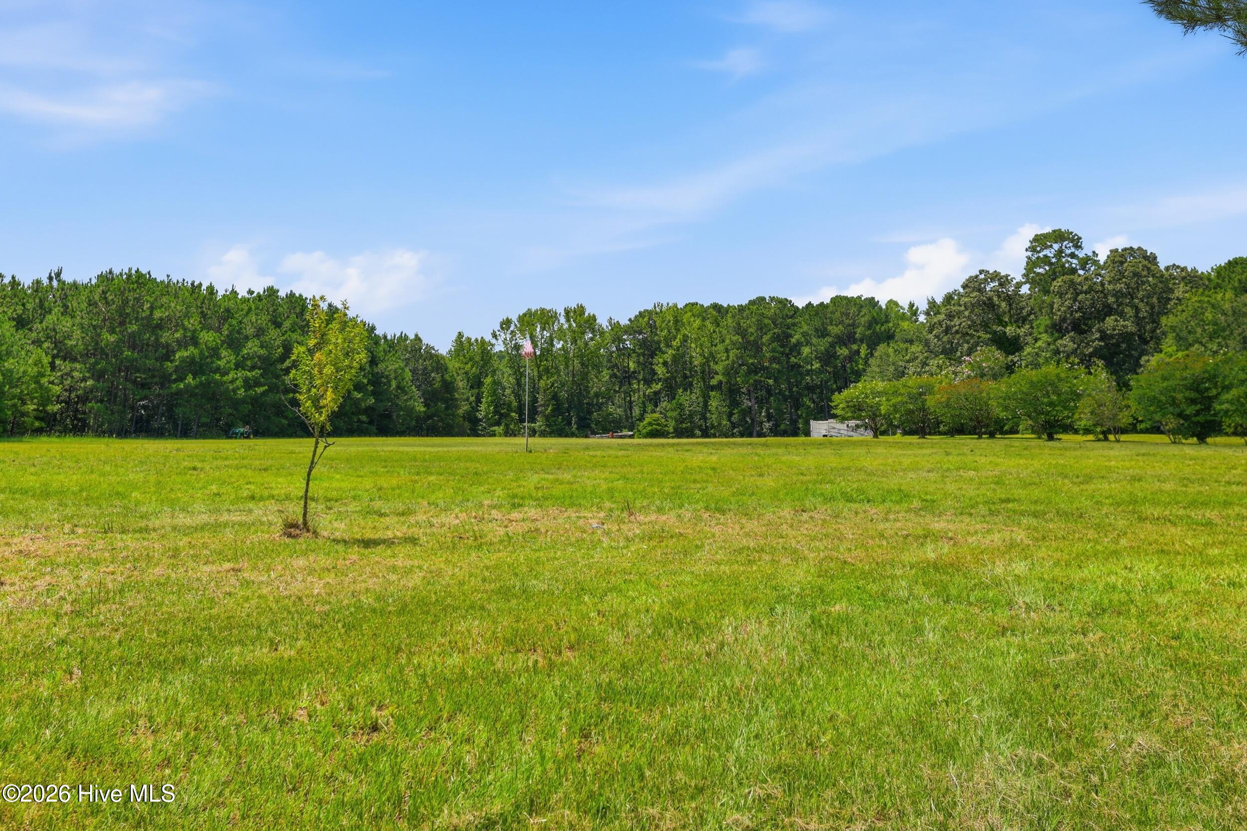 5397 Dilda Church Road Fountain, NC 27829 - Photo 68 of 73 75_892a1609