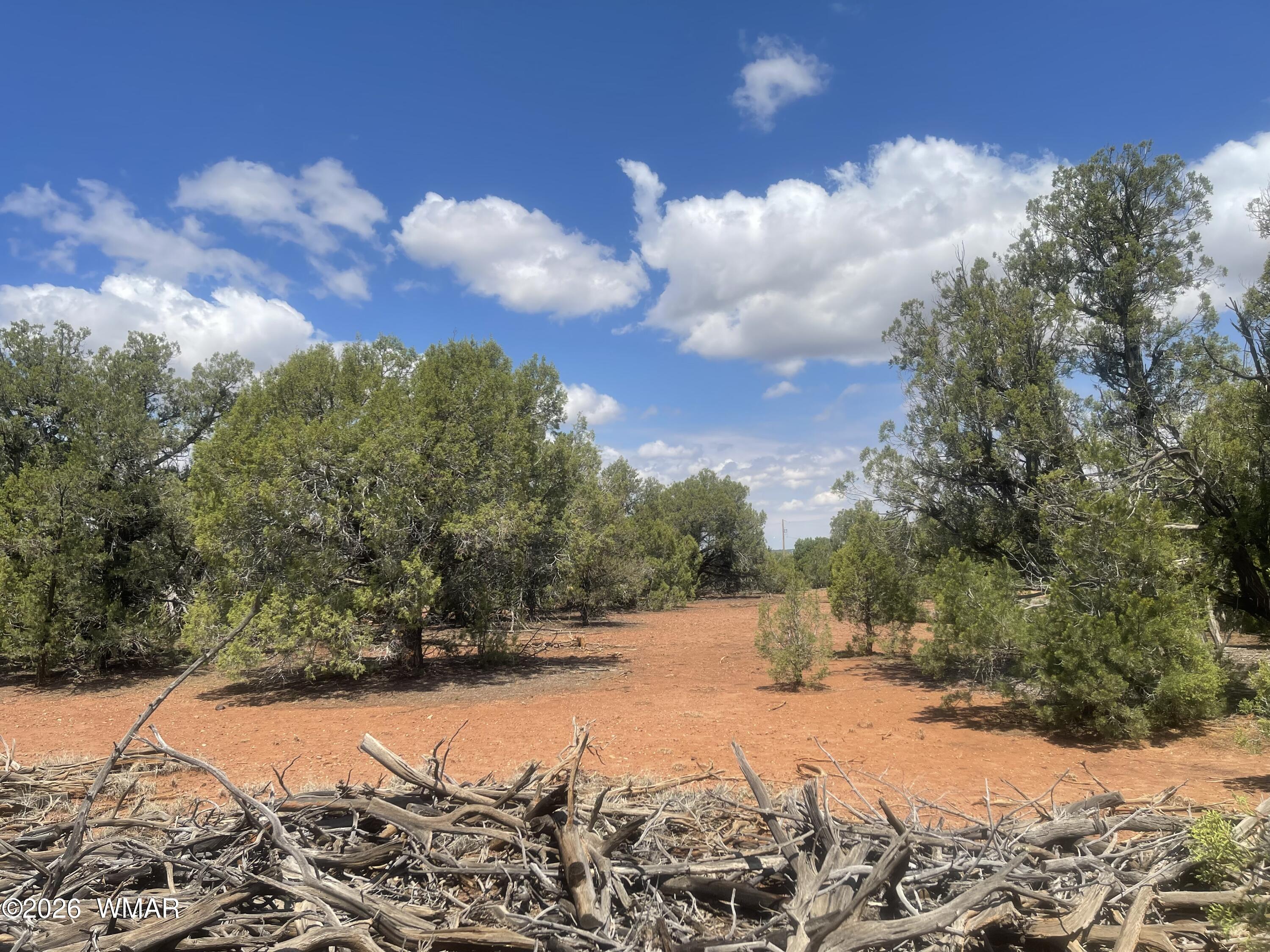 4934 Elk Trail Road Clay Springs, AZ 85923 - Photo 21 of 21 Gallery Image 21