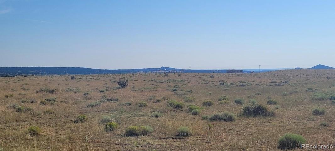 Lot 5 East Peak Ranch La Veta, CO 81055 - Photo 10 of 10 a view of a dry field with trees in background