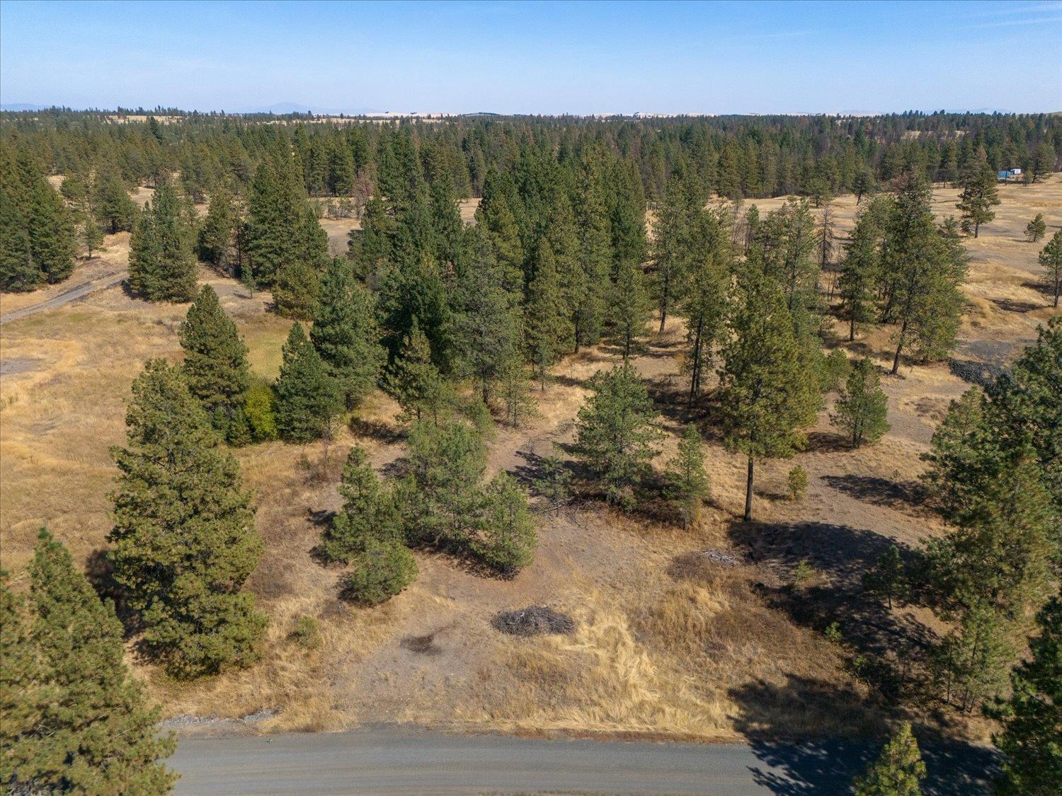 36321 South Bootstrap Lane, Unit LOT D Cheney, WA 99004 - Photo 12 of 15