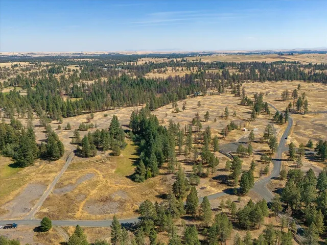 $795,000 | 36321 South Bootstrap Lane, Unit LOT D, Cheney, WA 99004