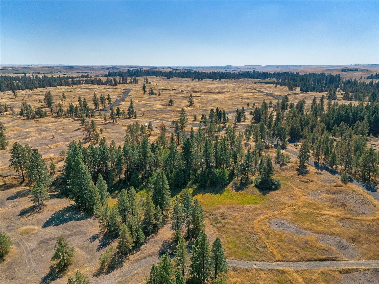 36321 South Bootstrap Lane, Unit LOT D Cheney, WA 99004 - Photo 7 of 15