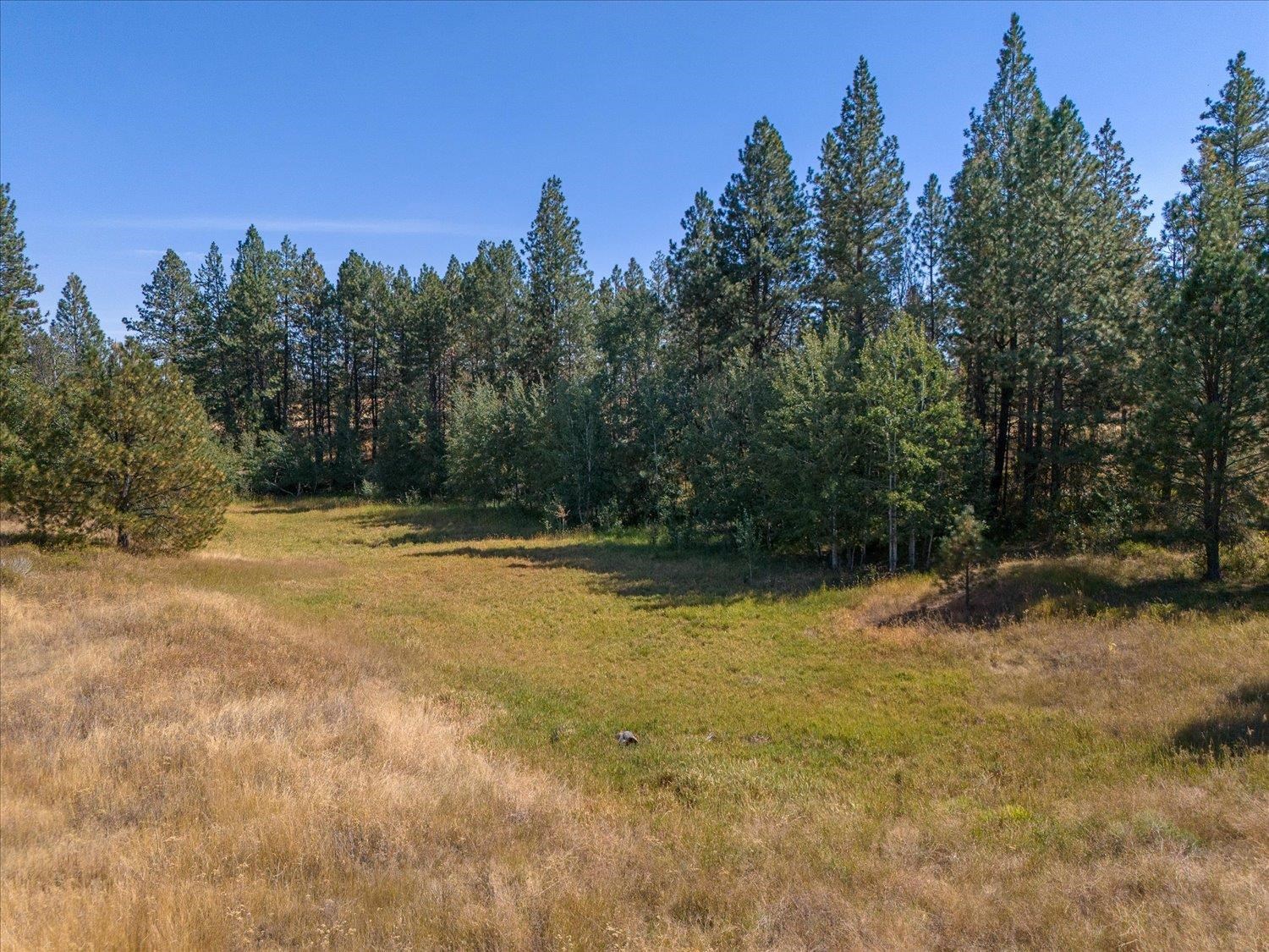 36321 South Bootstrap Lane, Unit LOT D Cheney, WA 99004 - Photo 8 of 15