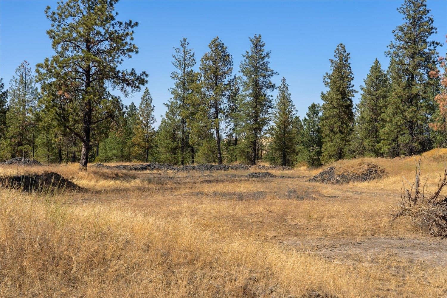 36321 South Bootstrap Lane, Unit LOT D Cheney, WA 99004 - Photo 9 of 15