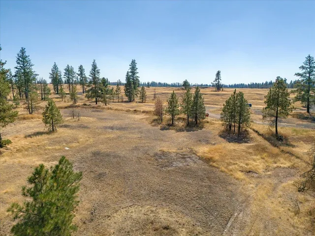 $795,000 | 36321 South Bootstrap Lane, Unit LOT D, Cheney, WA 99004