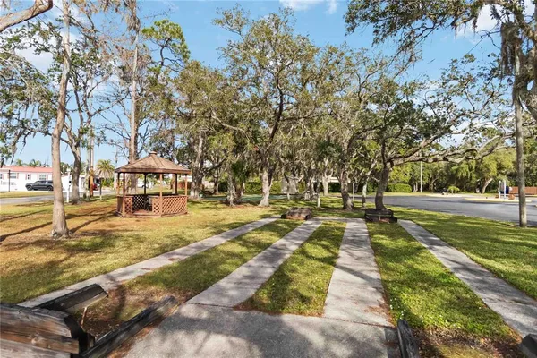 a view of yard with tree s