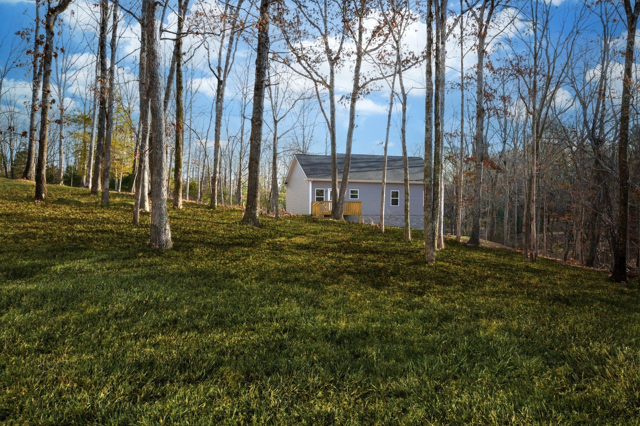 766 Billy Wynn Road Dickson, TN 37055 - Photo 27 of 31 a backyard of apartments with large trees