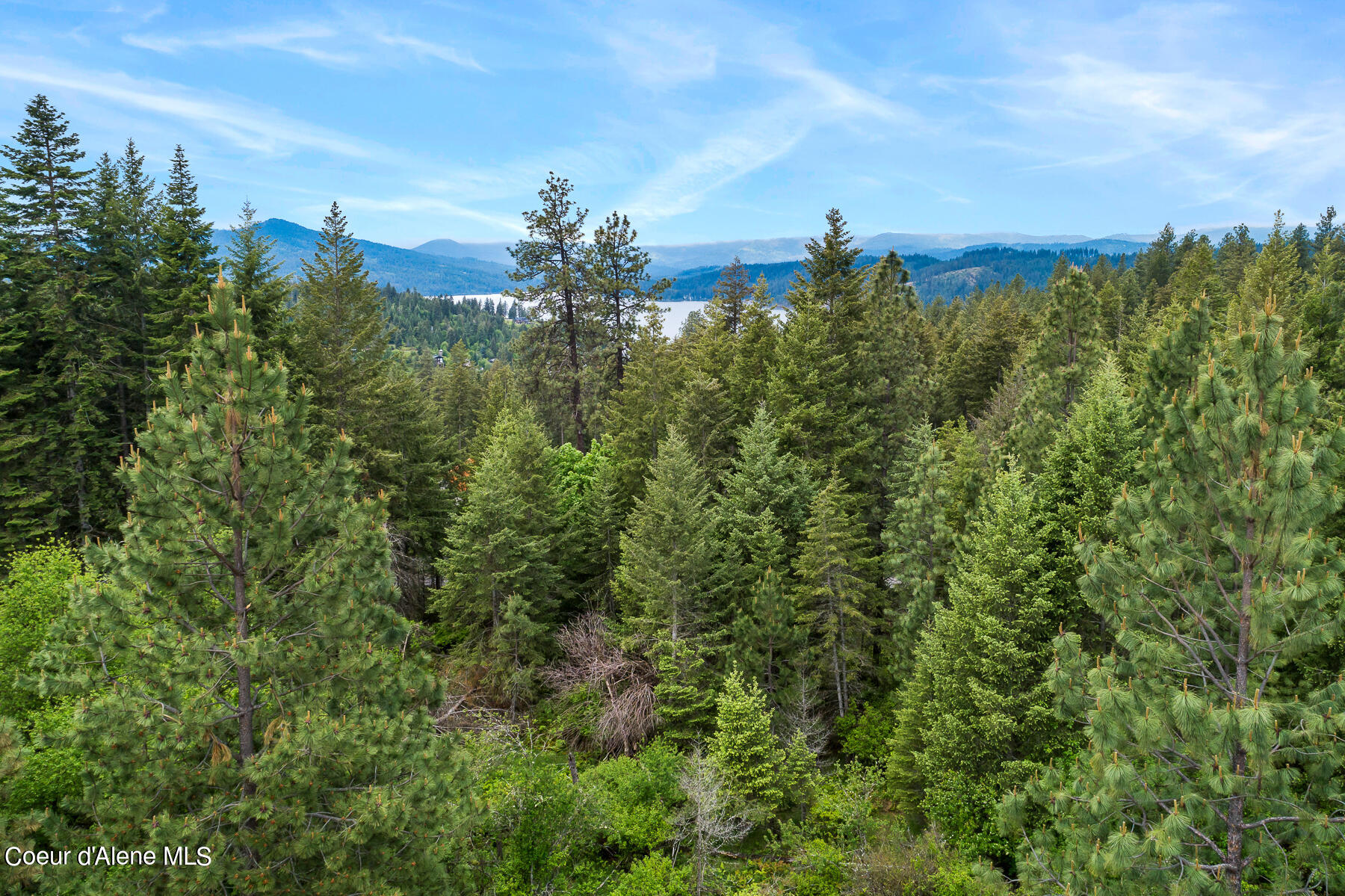 6557 South Buckrail Road Harrison, ID 83833 - Photo 6 of 16 Aerial_Lot94-3