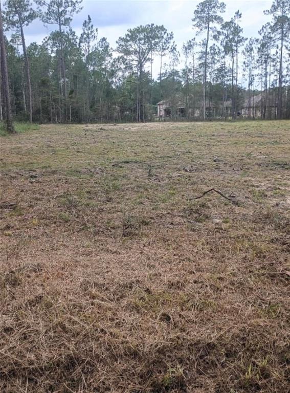 0 Fish Hatchery Road Lacombe, LA 70445 - Photo 2 of 2