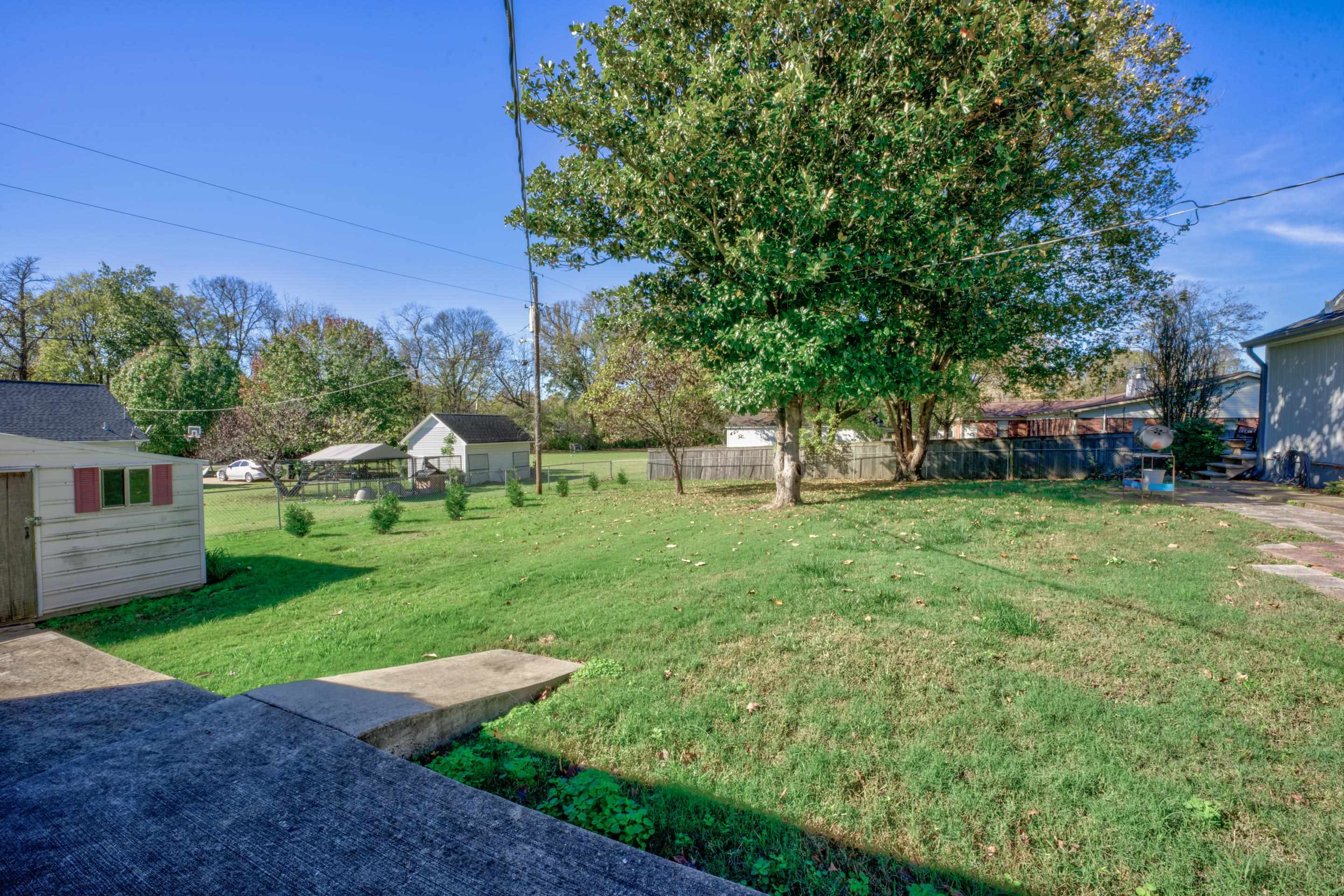 83 Barry White Lane Ripley, TN 38063 - Photo 33 of 37 a view of a yard with plants and a fountain