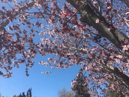 $2,280,000 | 6270 Tweedholm Court, San Jose, CA 95120