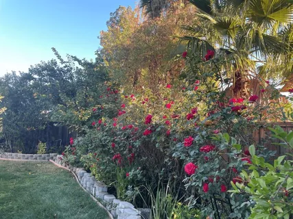 $2,280,000 | 6270 Tweedholm Court, San Jose, CA 95120